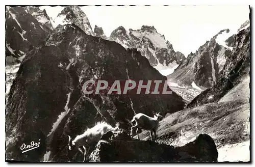 Cartes postales Paysages Alpestres