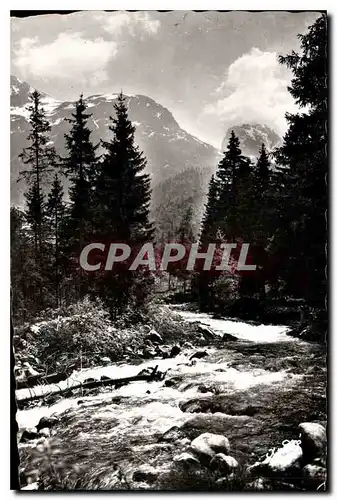 Cartes postales Paysages Alpestres le Torrent