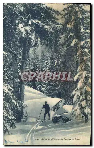 Ansichtskarte AK Dans les Alpes Un Sentier en hiver