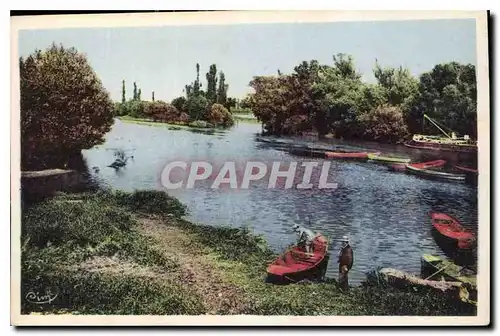 Cartes postales Belleville sur saone Rhone Un Joli paysage sur la saone