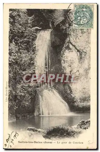 Cartes postales Salins les Bains Jura Le Gour de Conches