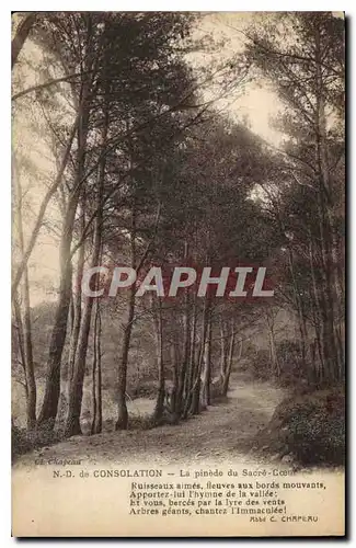 Cartes postales De Consolation La Pinede du Sacre Coeur