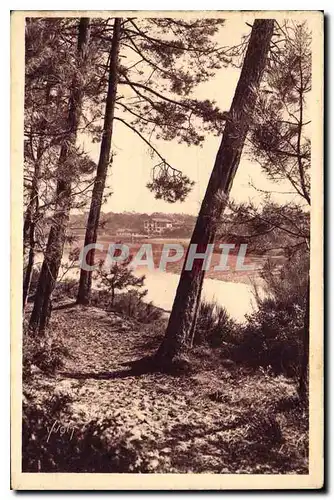 Cartes postales Cote d'Argent Hossegor Landes Une vue du lac a Travers Les Pins