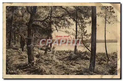 Ansichtskarte AK Les landes de Gascogne L'Etang Blanc