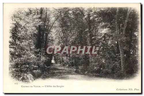 Ansichtskarte AK Chateau de Vizille l'Allee des Soupirs