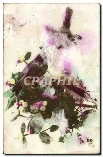 Cartes postales Fleurs Oiseaux