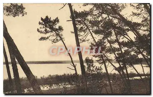 Ansichtskarte AK Dans les landes des Gascogne