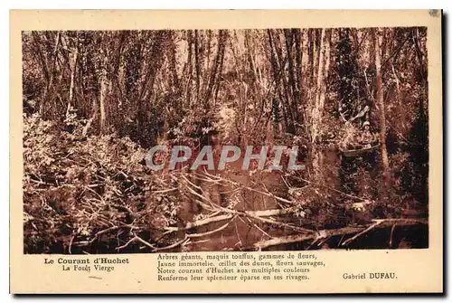 Ansichtskarte AK Le Courant d'Huchet La Foret Vierge