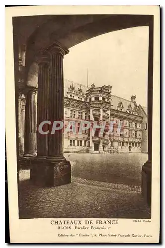 Cartes postales Chateaux de France Blois Escalier Francois