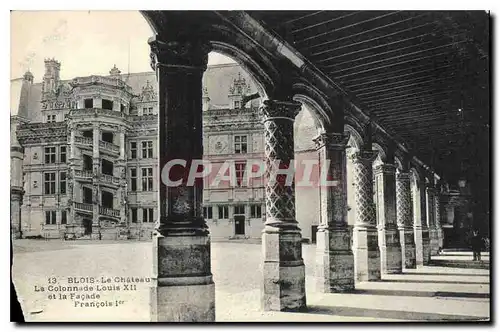 Cartes postales Blois le Chateau La Colonnade Louis XII et la Facade Francois