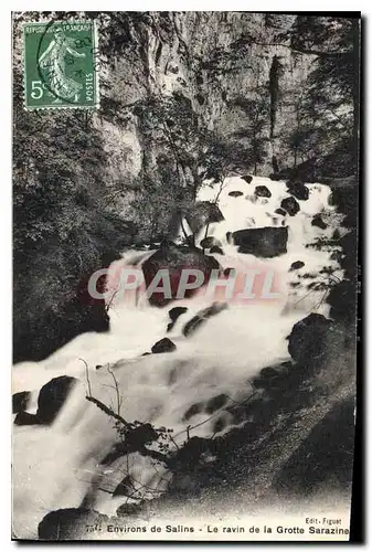 Cartes postales Environs de Salins Le ravin de la Grotte Sarazine
