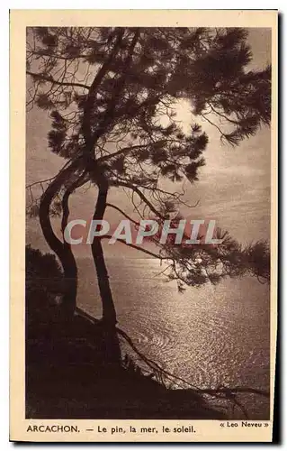 Cartes postales Arcachon Le Pin la mer le Soleil