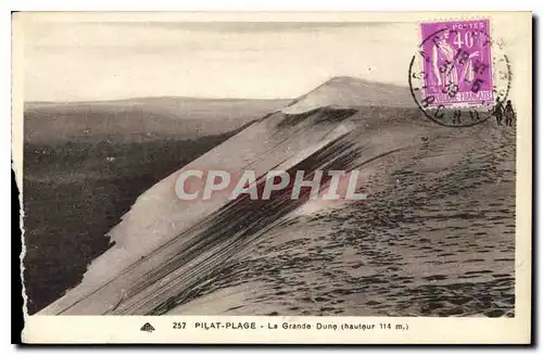 Cartes postales Pilat Plage La Grande Dune hauteur 114m