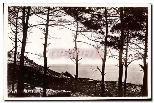 Cartes postales Pilat Place Au Pied des Dunes