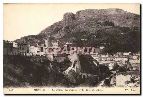 Cartes postales Monaco Le Palais du et la Tete de Chien