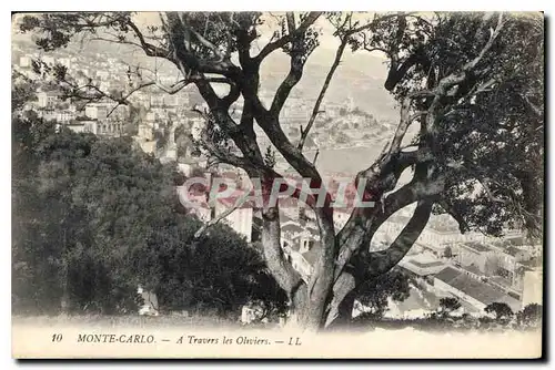 Cartes postales Monte Carlo A Travers les Oliviers