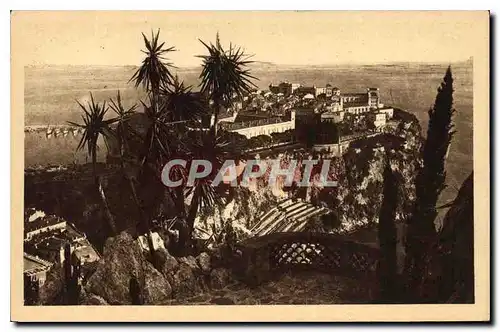 Cartes postales Le Rocher de Monaco vu des Jardins exotiques