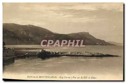Cartes postales Environs de Monte Carlo Cap Ferrat Vue sur la Tete de Chien