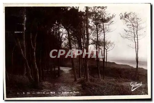 Cartes postales Soulac sur Mer Sentier en Foret