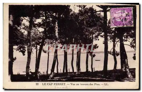 Cartes postales Le Cap Ferret Vue au des Pins