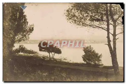 Cartes postales Arbres
