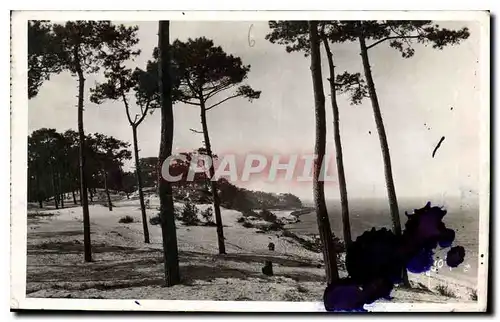 Ansichtskarte AK Le Moulleau Arcachon Gironde Le Parc des Abatiulles et vue les passes du Bassin