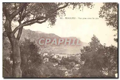 Cartes postales Beaulieu Vue prise entre les pins