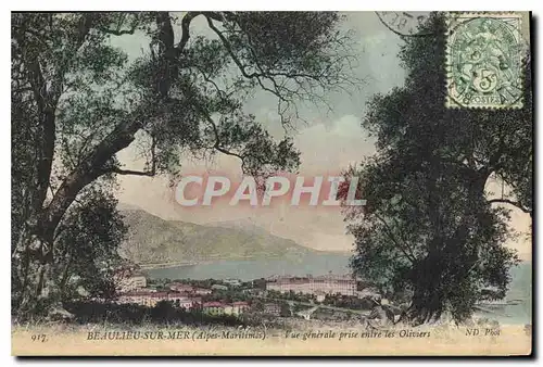 Cartes postales Beaulieu Mer Alper Maritimes Vue Generale prise entre les Oliviers