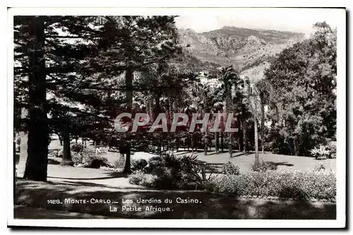 Cartes postales Monte Carlo Les Jardins du Casino La Petite Afrique