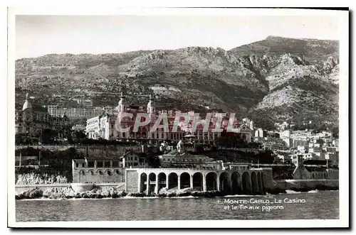 Cartes postales Monte Carlo Le Casino et le Tiraux pigeons