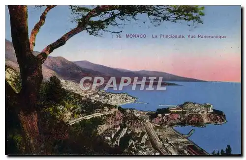 Cartes postales Monaco La Principaute Vue Panoramique