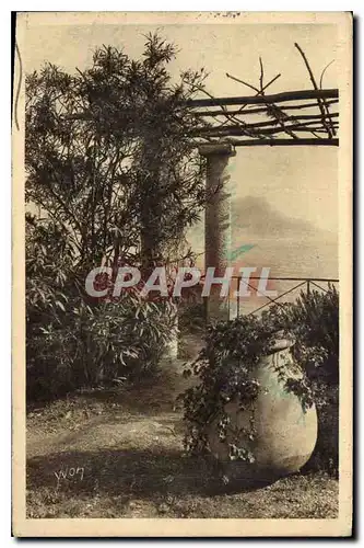 Cartes postales La Douce France Cote d'Azur La Tete de Chien vue a travers une Pergola