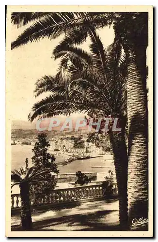 Cartes postales Nice Vue generale Entree du Port