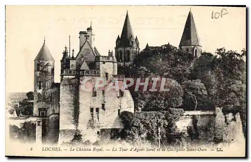 Cartes postales Loches Le Chateau La Tour d'Agnes Sorel et la Collegiate Saint Ours