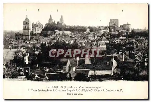 Cartes postales Loches Vue Panoramique Tour St Atnoine Ch�teau Royal Collegiale St Ours Donjon