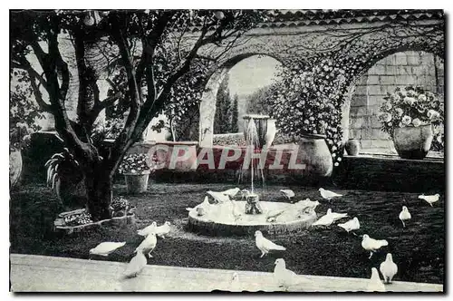 Cartes postales St Paul De Vence La Colombe d'or Jardin Provencal