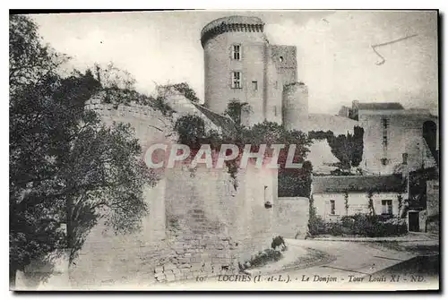 Cartes postales Loches Le Donjon Tour Louis XI