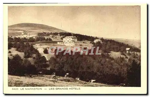 Cartes postales Le Markstein Les Grands Hotels