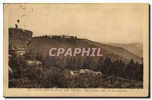 Cartes postales Mont Sainte Odile Ru Primier plan Le Manneistein