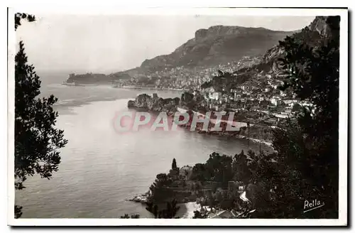 Cartes postales La Principaute de Monaco Vue de Roquebrune