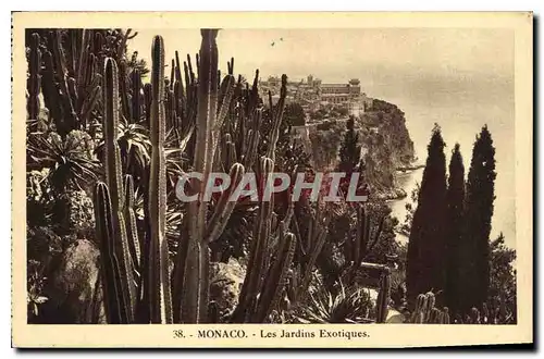 Cartes postales Monaco Les Jardins Exotiques