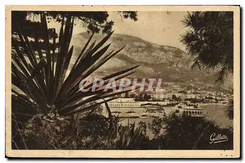 Cartes postales Monte Carlo Entree Les Arbres