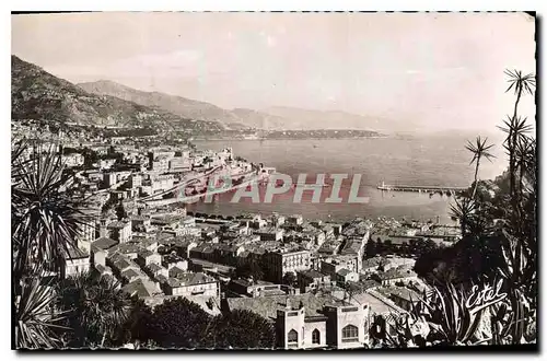Cartes postales Le Jardin Exotique de Monaco vue generale prise du Jardin sur le Port et la Condamine