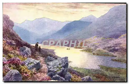 Cartes postales Bonnie Scotland