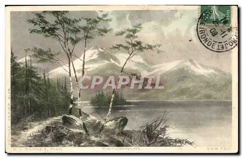 Cartes postales Barnes Pinx