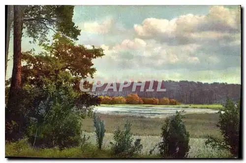 Cartes postales Paysage