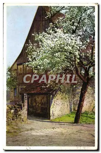 Cartes postales Arbre Maison