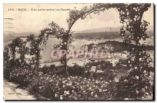 Cartes postales Nice vue prise entre les fleurs