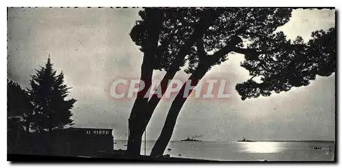 Cartes postales Juan les Pins A M Crepuscule