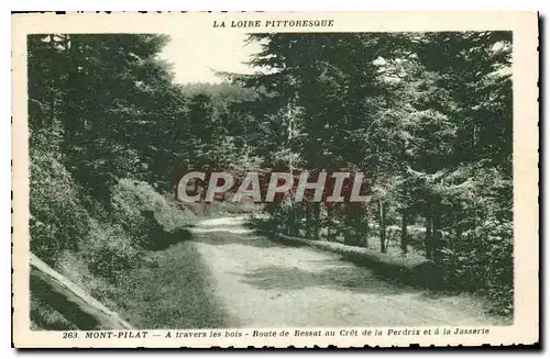 Ansichtskarte AK La Loire Pittoresque Mont Pilat a travers les bois Route de Bessat au Cret de la Perdrix et la J